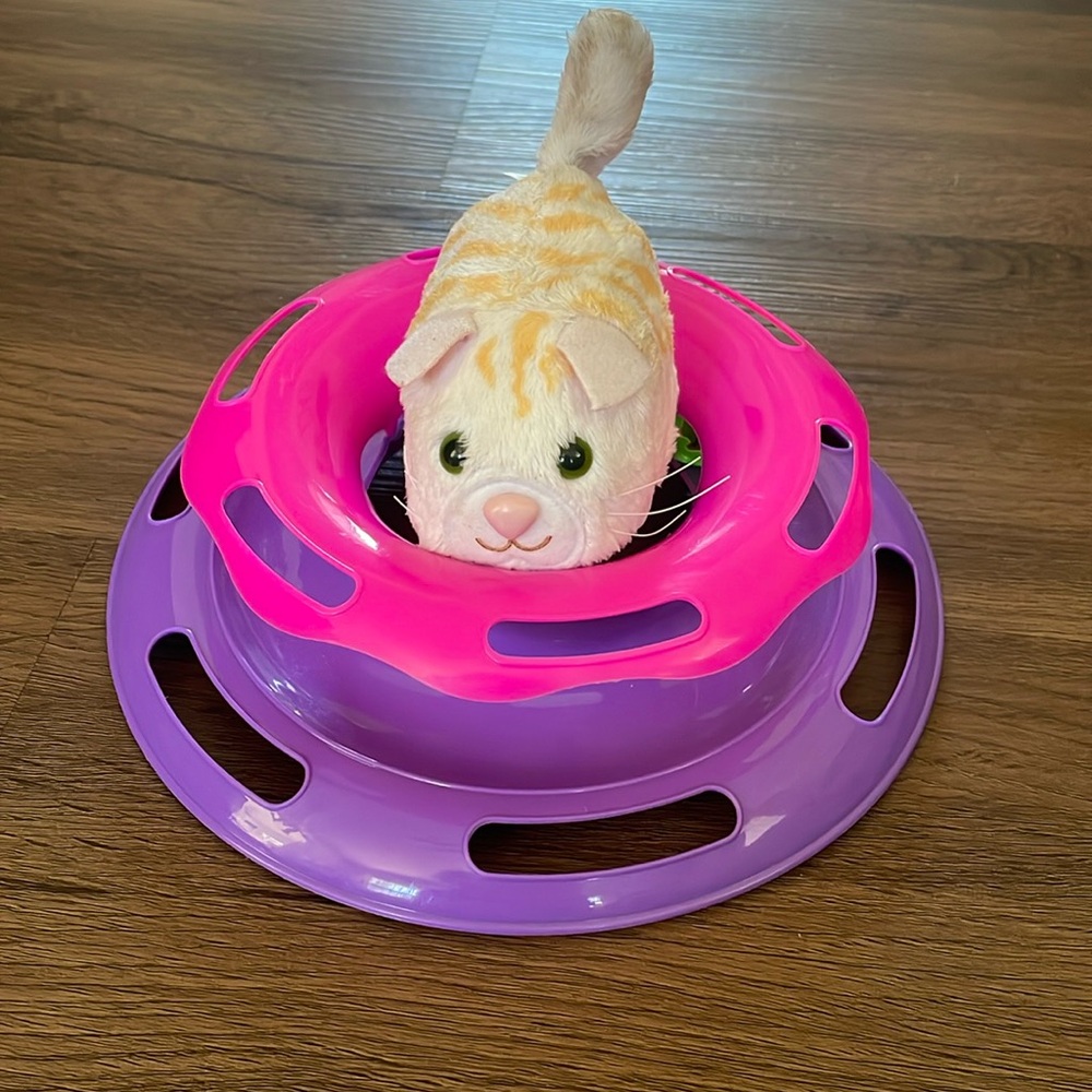 Catstages Catnip Chaser with a Mouse Cat Toy